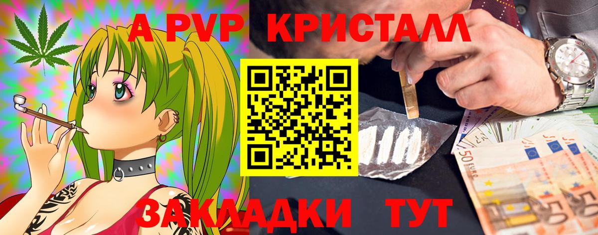 Альфа ПВП СК Вологда