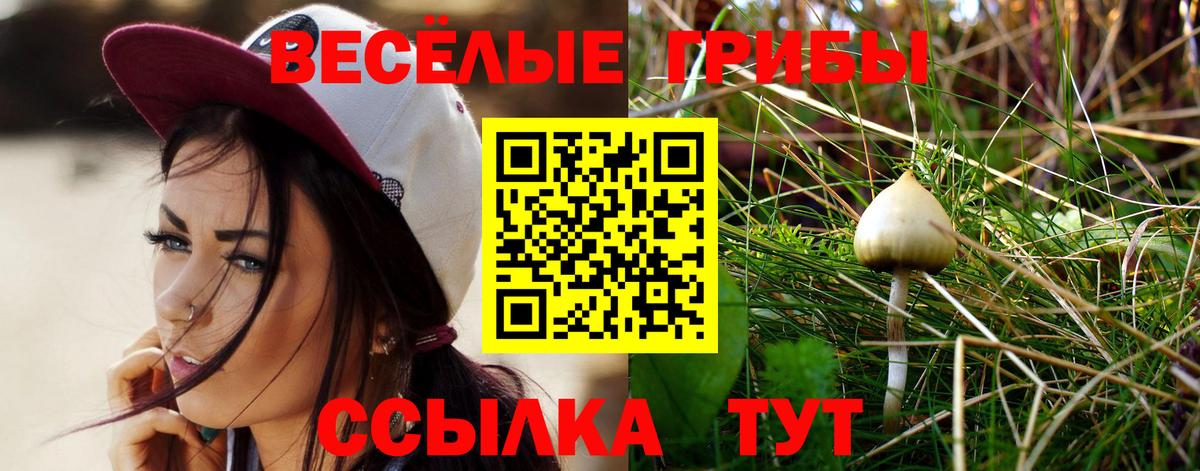 Вологда  Псилоцибиновые грибы ЛСД  Вход с VPN 