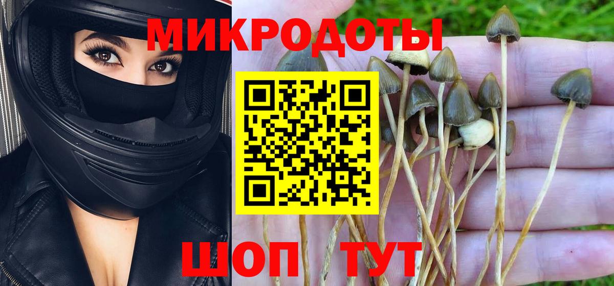 Галлюциногенные грибы GOLDEN TEACHER Вологда